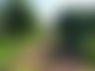 Prazo de entrega de declaração do ITR acaba nesta sexta