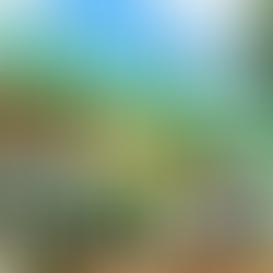 Concurso para auditor fiscal da SEFAZ-GO tem salário de R$ 28,5 mil e 50 vagas