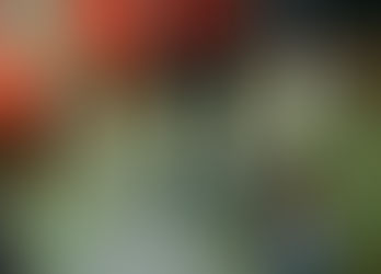 Homem é preso depois de se apropriar de celular de cliente e causar vários prejuízos à vítima