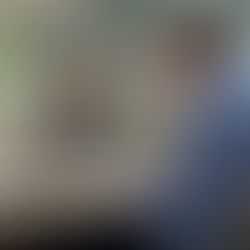 Renato anuncia que projeto do Jardim Siena está em fase final; apresentação será feita em setembro