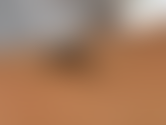 Cepa da dengue mais disseminada no mundo é encontrada em Goiás