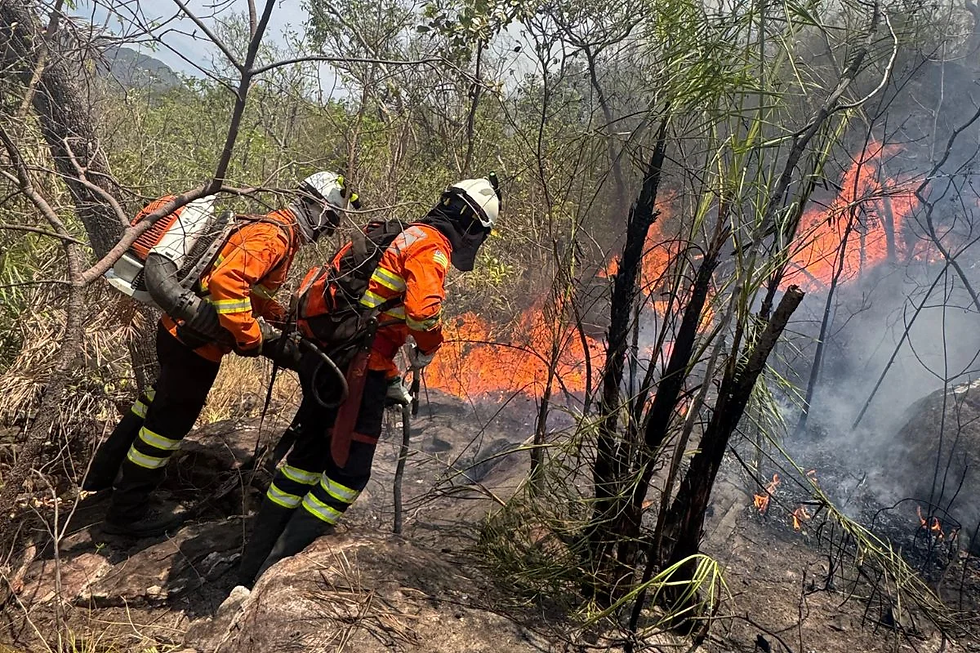 Incêndio na Chapada dos Veadeiros já destruiu quase 100 mil hectares