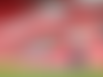 Tite vive seu último capítulo na seleção em busca do hexa no Catar