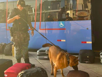 PM apreende mais de 100 frascos de lança-perfume em operação na rodoviária