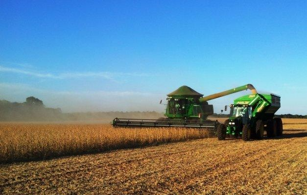 Produção agropecuária impulsiona economia de Goiás com destaque para soja, milho e bovinos