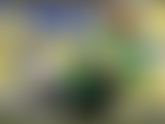 Eliminatórias: seleção brasileira terá mudanças para último duelo contra Bolívia