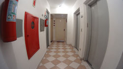 DSC02803