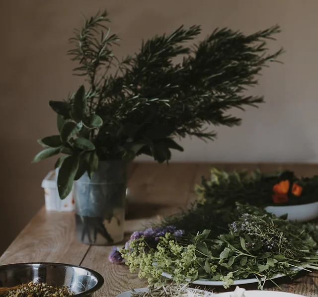 CRÉATION DE SA JARDINIÈRE AROMATIQUE