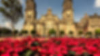 De multiples poinsettias ornent le Zocalo, la place principale de la ville moderne de Mexico
