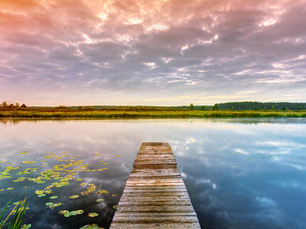 5 Practical Tips to Overcome Overwhelm and Reduce Stress