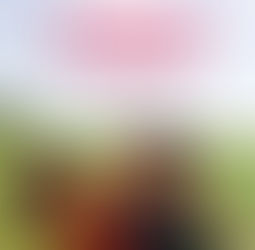 Amori Che Non Sanno Stare Al Mondo