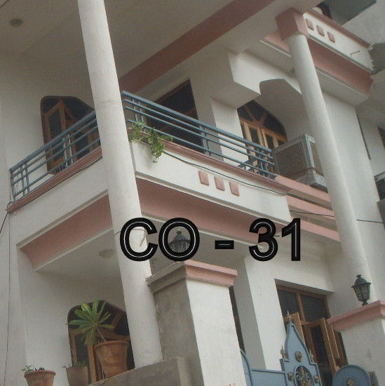 CO-31 3.JPG