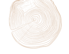 Untitled-3_edited_edited.png