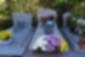 Cimetiere_4.png
