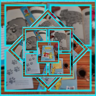 O Diário do Erasmo
do autor Robson Cuer