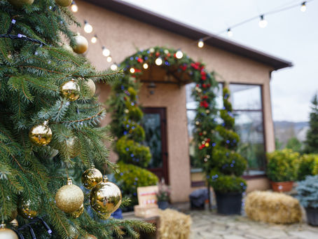 Don’t Forget Winter Lawn and Plant Care: Why Your Landscape Still Needs Attention This Season