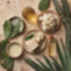 roochdigby_top_view_of_raw_ingredients_prickley_pear_oil_squa_9701cd96-7f54-424e-a1bf-8d58