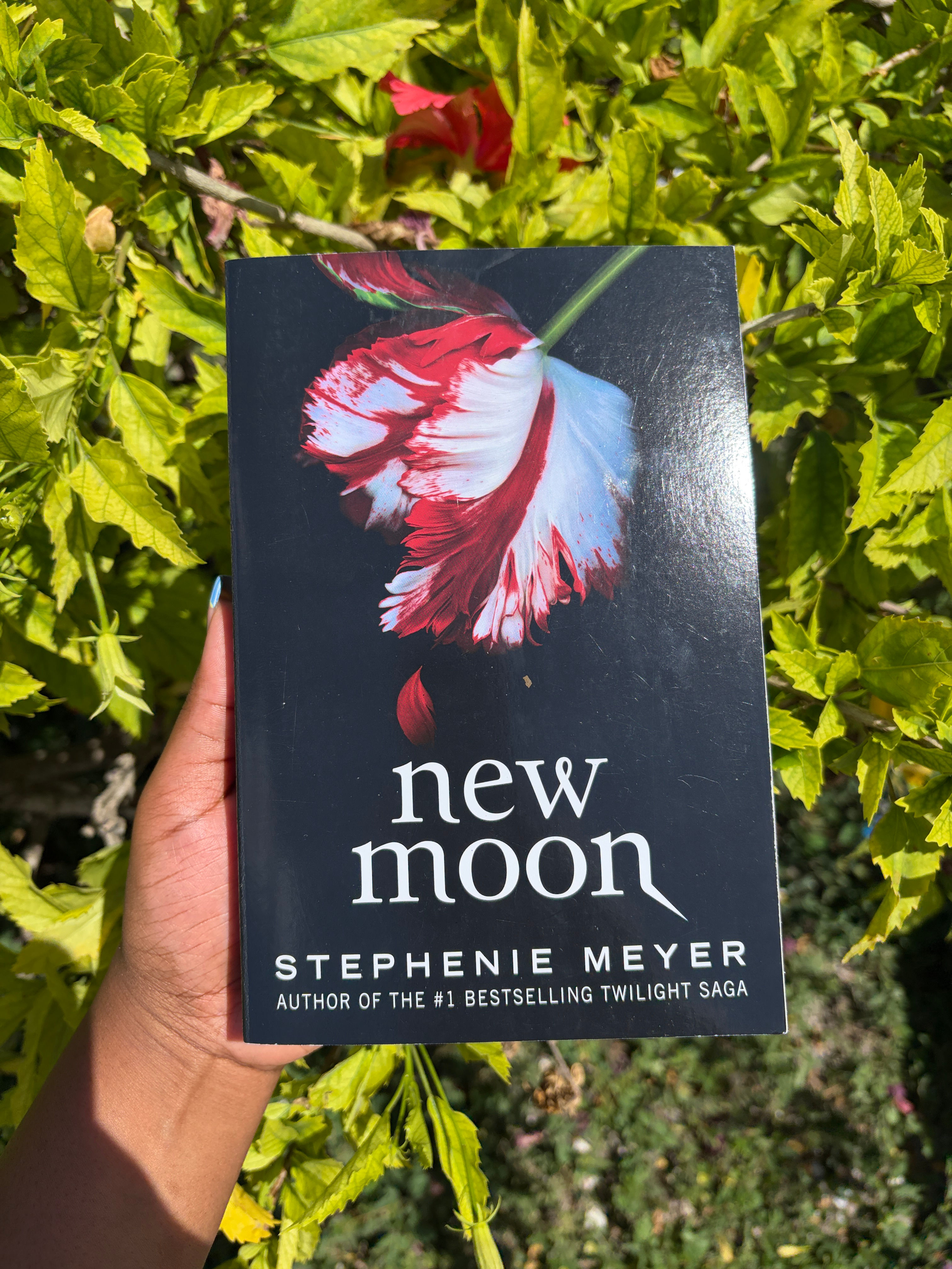 New Moon bk 2