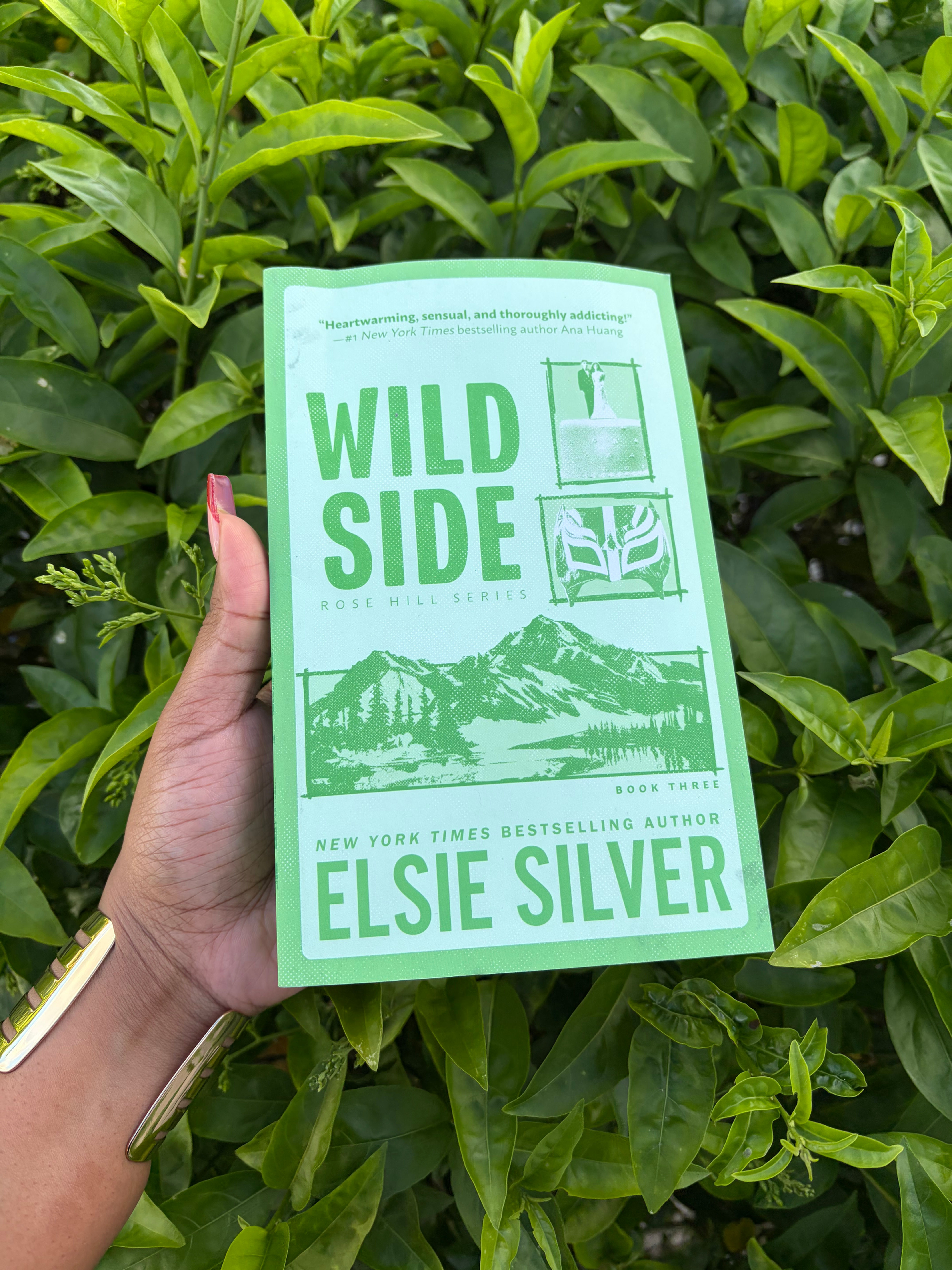 Wild Side - Rosehill Book 3