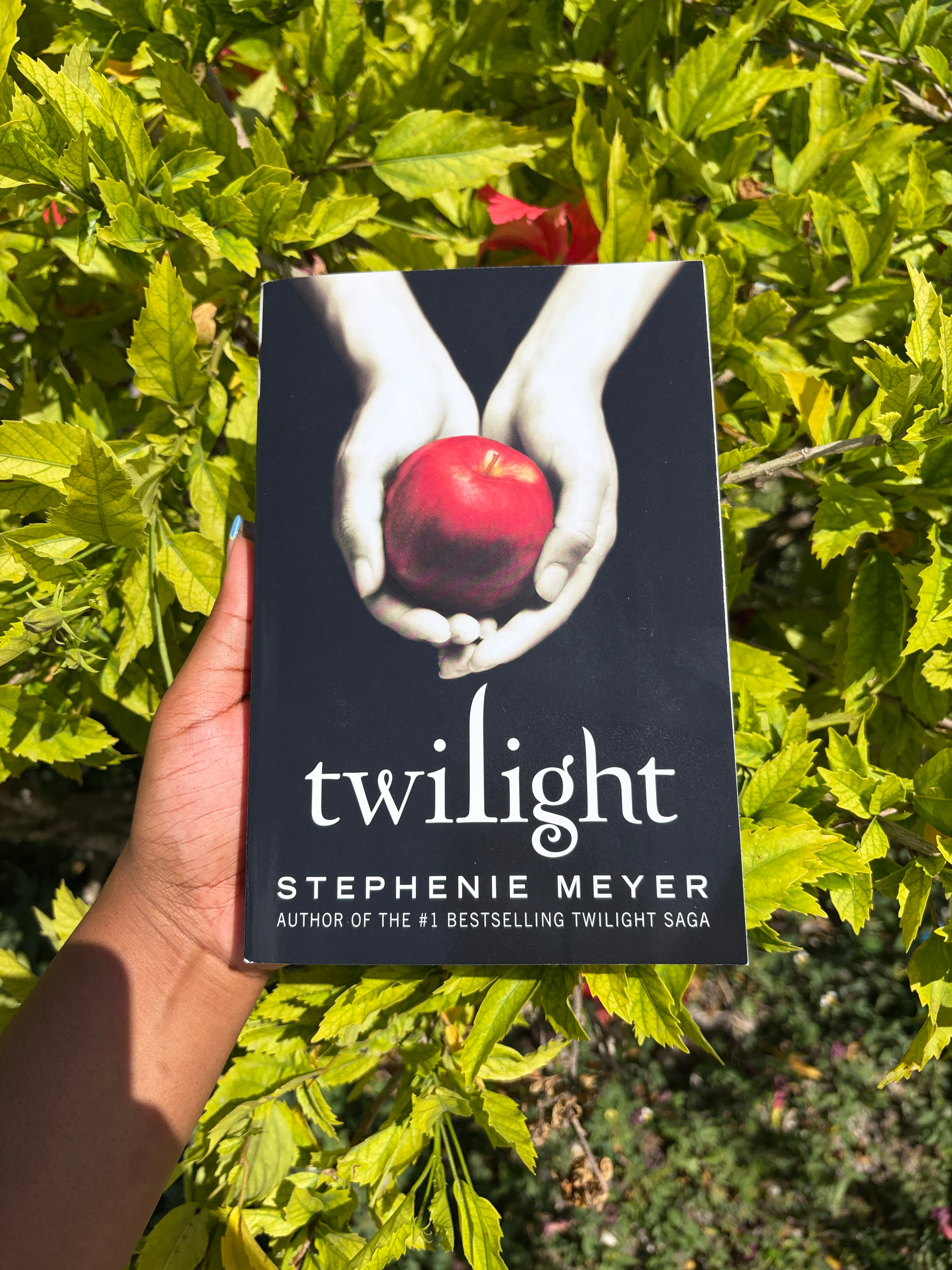 Twilight bk 1