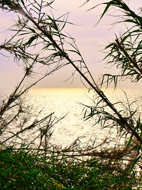 長崎 伊王島灯台からの風景