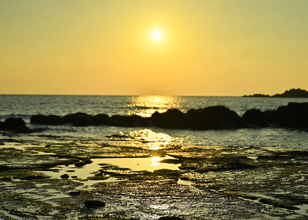 水溜りのリフレクション