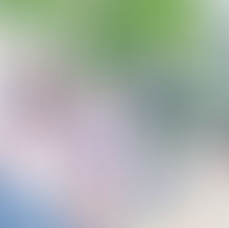 白いシャツとジーンズ、長崎Dejimaの夏