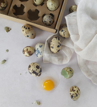 Hoekkraaltjie_Fresh Quail Eggs