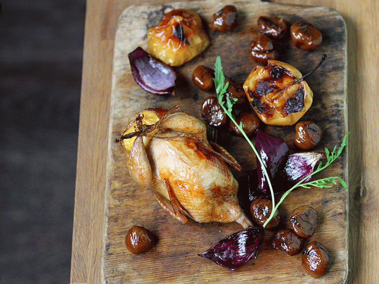 Appel & Chestnut Quail.gif