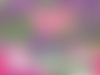 「くりんそうウィーク2026のチラシができました！」