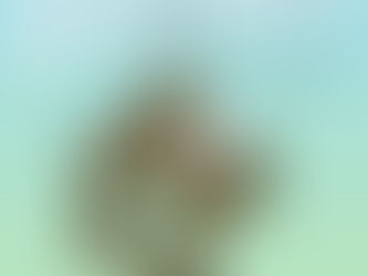 Could you own the missing piece?