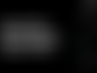 Rapid Web Development Report 2021