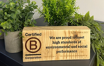 Happy B Corp Month! 💛💚