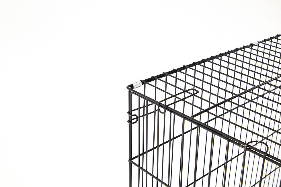 Thumbnail: Soogloo Foldable Dog Crate