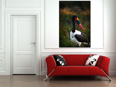 Example of Fine Art Print on a wall