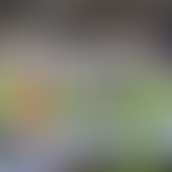 Kody Adkins Is Emerging As An Offensive Leader For Lincoln County Football