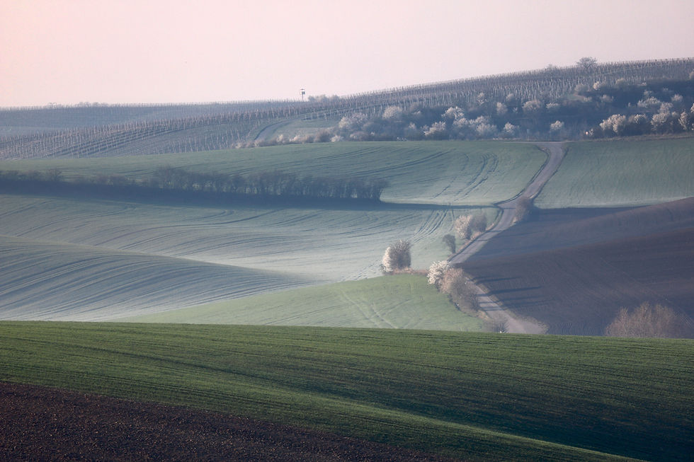 The Changing Role of Product Management: Iteration, Problem-Solving, & Sustainable Growth, Part 1