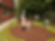 Sensory Garden