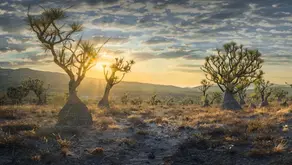 3 Reservas naturales de Puebla para tomar las mejores fotos