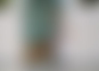 Take a Mindful Approach to Pet Behavior and Train Smarter, Not Harder