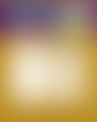 The RV Book Fair 2025 - Day 11- December 18th