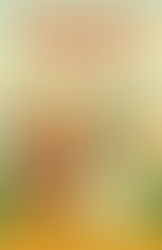 Peaceful Valley: Where Quirks Become Superpowers (and Chaos Is Part of the Charm) - Lucia Matuonto - The RV Book Fair 2025