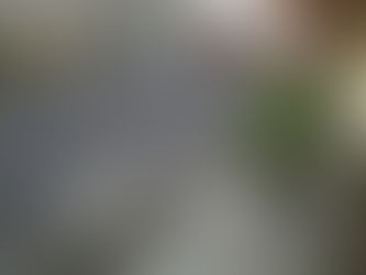 Vídeo mostra criminosos rendendo mulher para roubar carro à luz do dia, em Manaus; assista