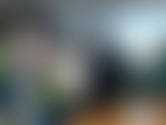 Áudio revela como Menezes manipula Bolsonaro em boicote a Manaus