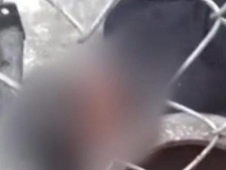 Em Manaus, jovem é baleado durante assalto por demorar para entregar celular