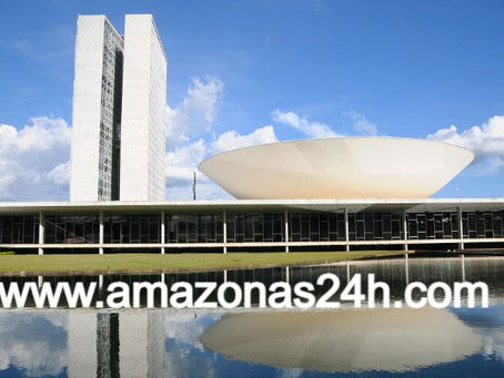 BRASIL: Comissão da Câmara discute assistência aos "órfãos da covid-19"