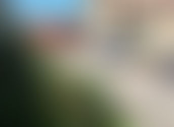 Dois corpos são encontrados em covas no Tancredo Neves