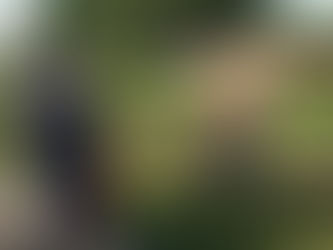 Travesti é assassinada a tiros no meio de praça em Manaus