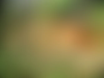 Manaus entra em alerta com expectativa de chuva intensa nesta quarta (23)