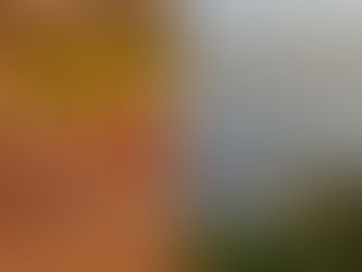 Interior do Amazonas enfrenta maior seca dos últimos 10 anos